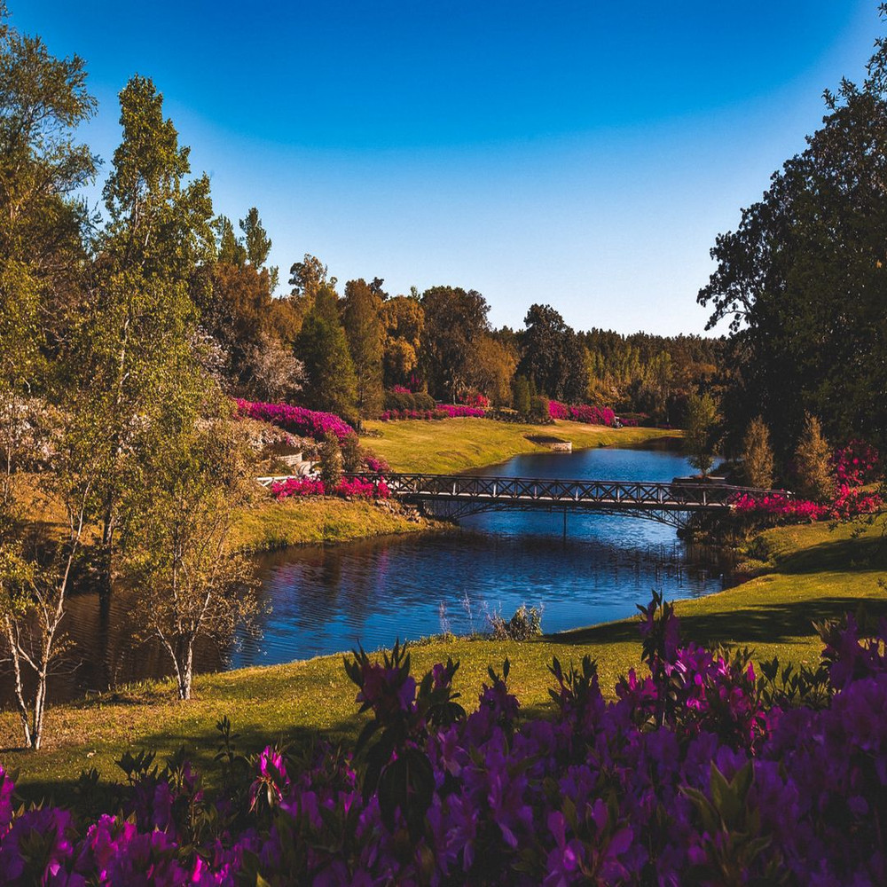 1080x1080 size pexels-pixabay-158063-1594x1062.jpg