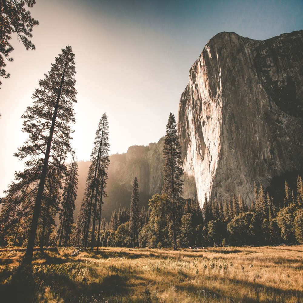 1080x1080 size adam-kool-ndN00KmbJ1c-unsplash-scaled-1-1594x1062.jpg