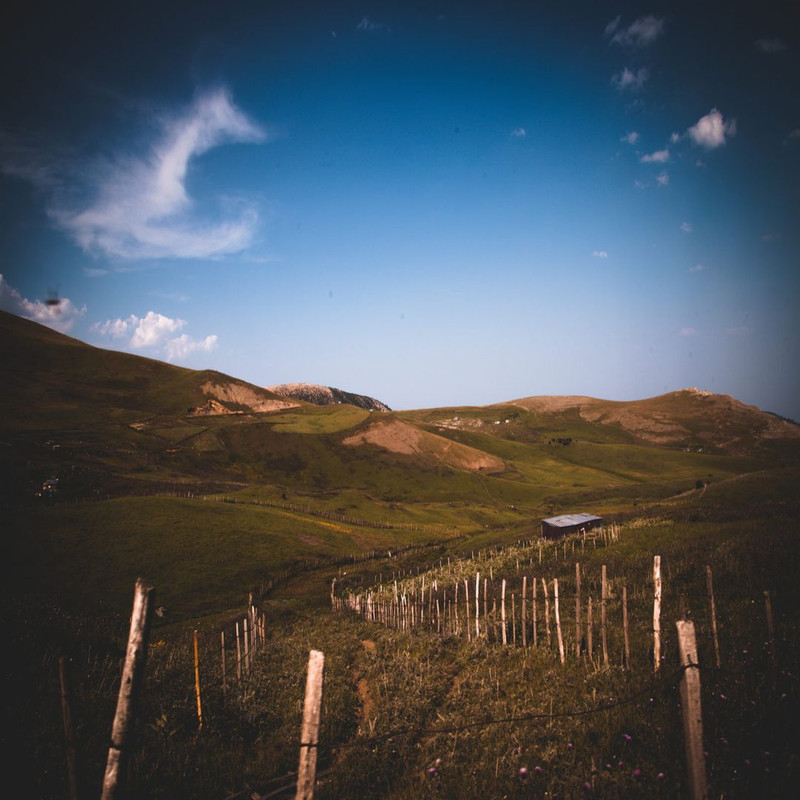 1080x1080 size etsy6-1594x1062.jpg