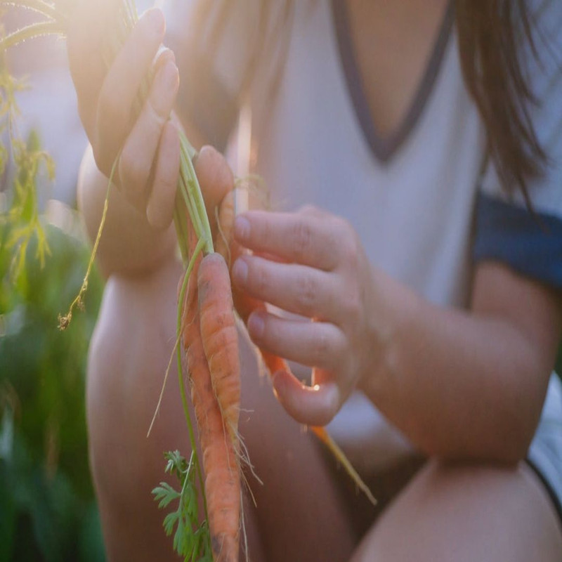 1080x1080 size il_1140xN.2782493850_bzn1.jpg