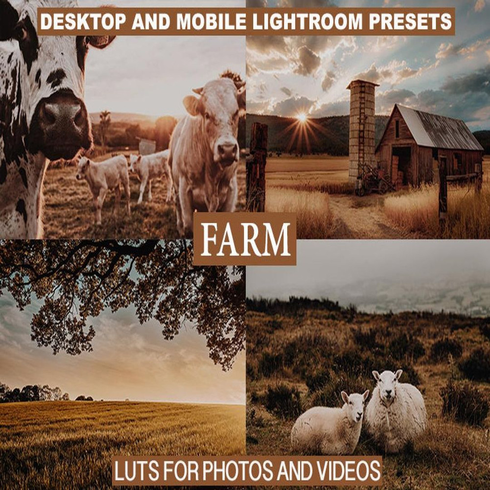 1080x1080 size il_1140xN.2781280579_83x0.jpg