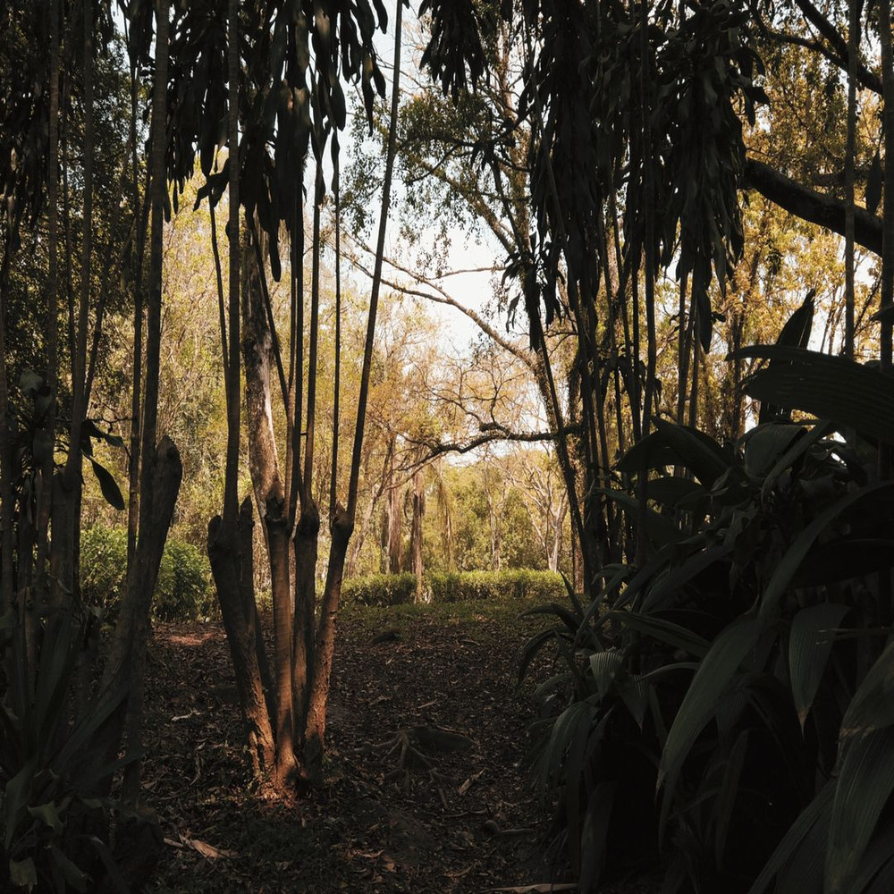 1080x1080 size DJI_0238.00_00_00_00.Quadro001-1594x1062.jpg