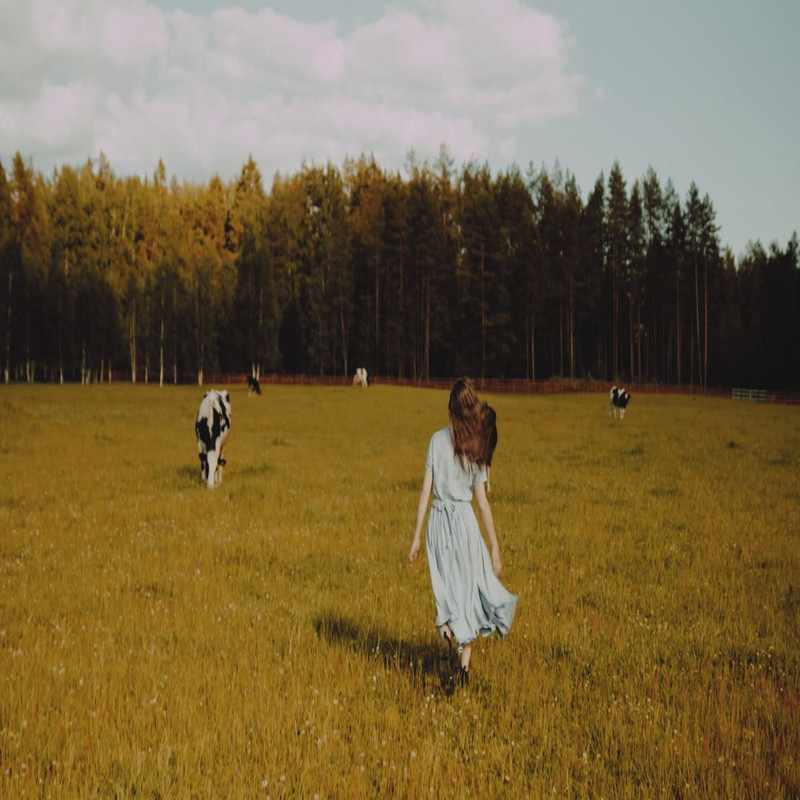 1080x1080 size production-ID_4919748.00_00_11_05.Quadro001-1594x1062.jpg