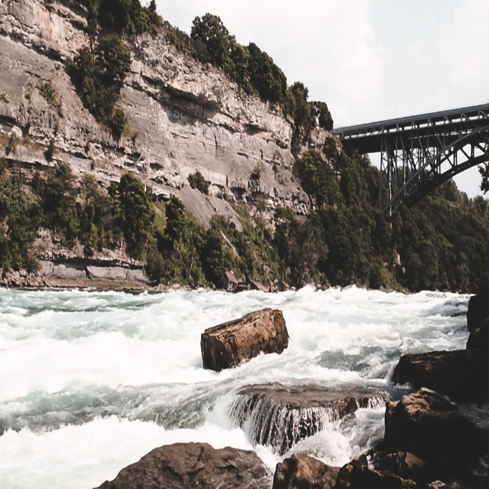 1080x1080 size Pexels-Videos-1291114.00_00_00_00.Quadro001-1594x1062.jpg