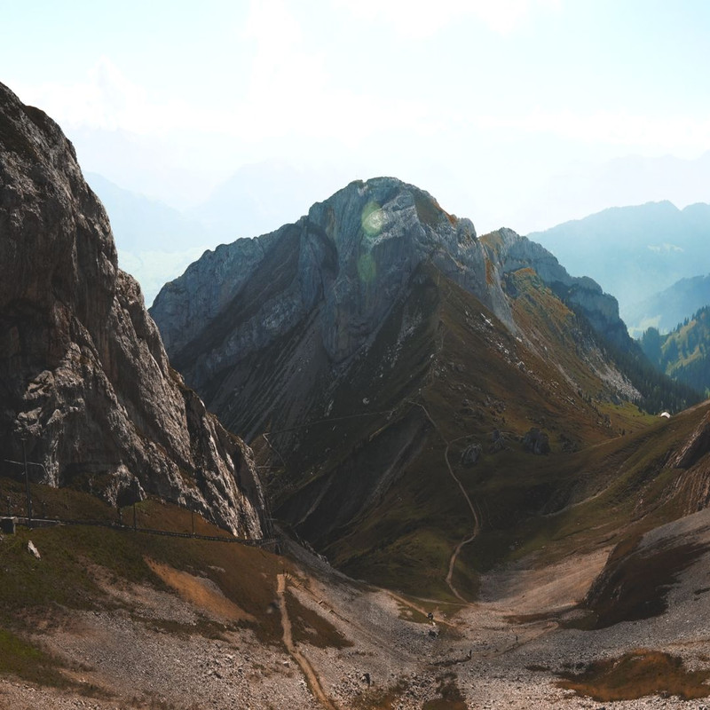 1080x1080 size Pexels-Videos-2034248.00_00_00_00.Quadro001-2-1594x1062.jpg