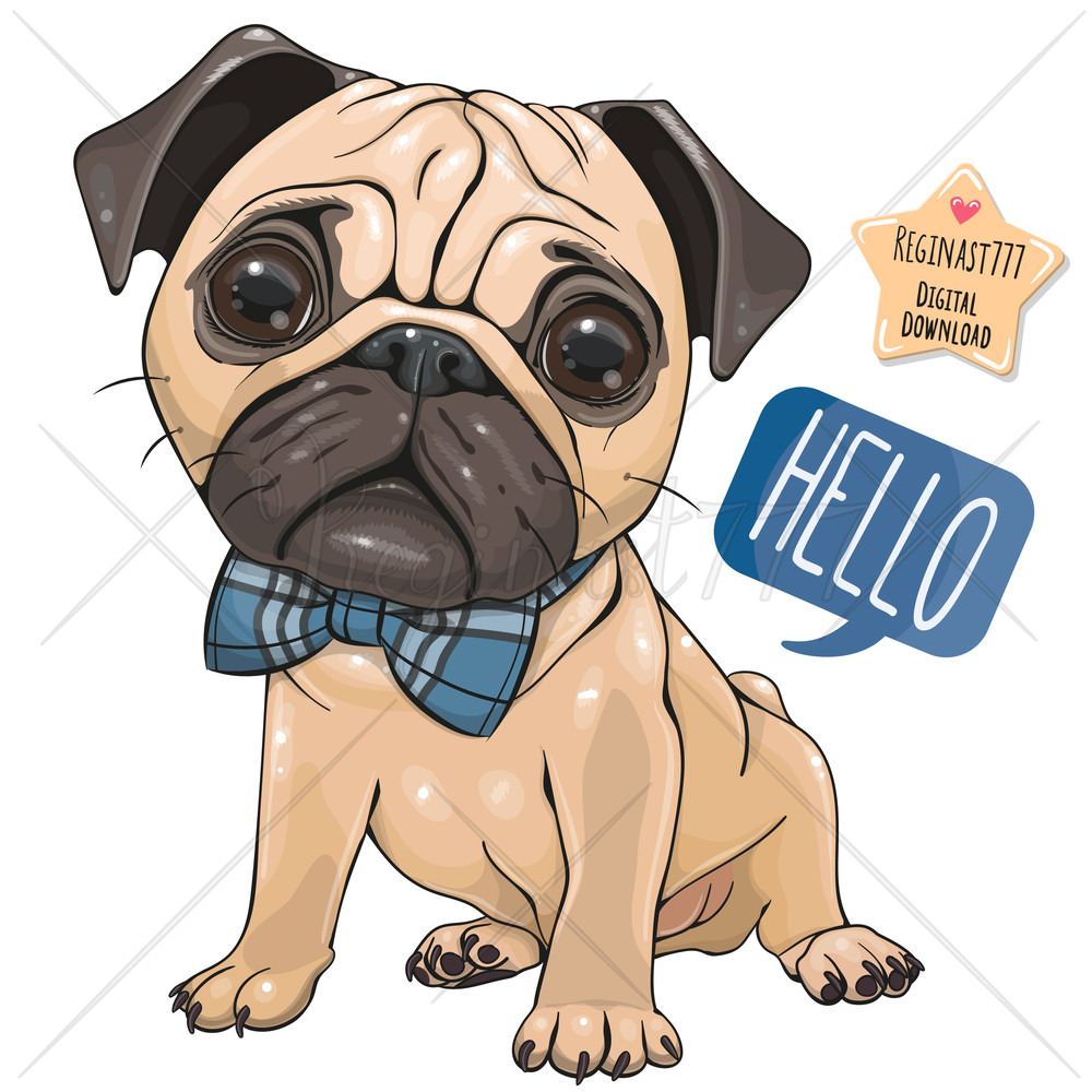 cute-pug-illustration.jpg
