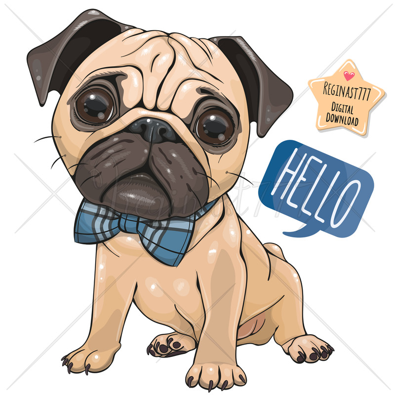 cute-pug-illustration.jpg