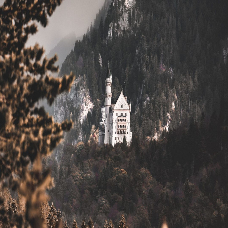 1080x1080 size daniel-sessler-DDAyJPJEYrY-unsplash-scaled-1-1594x1062.jpg