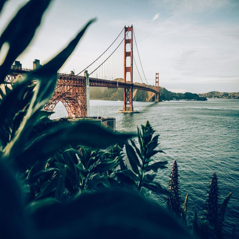 1080x1080 size preview6-4.jpg