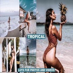 cinematic tropical film luts  mobile & desktop presets