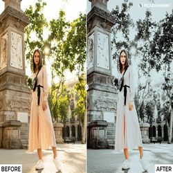 101 moody mobile & desktop presets