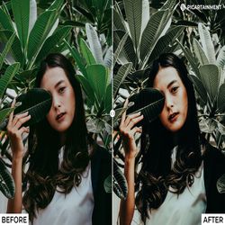 green moody x6 mobile & desktop presets