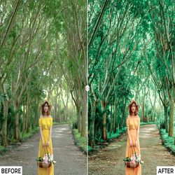 mint mobile & desktop presets