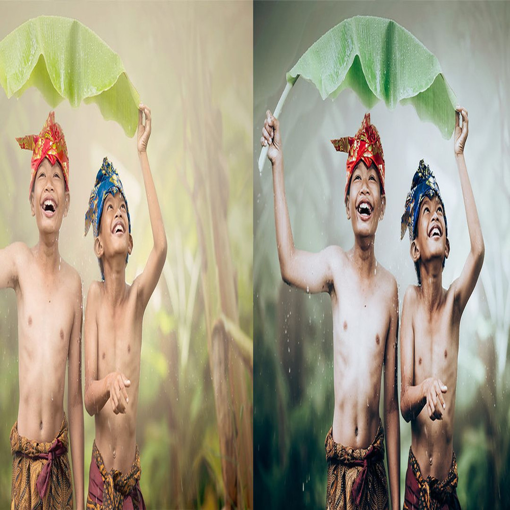 1080x1080 size Rain-Forest-Preview_3-1594x664.jpg