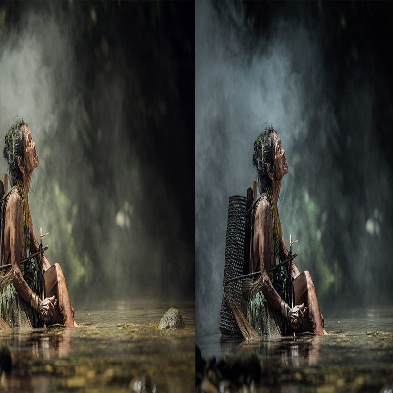 1080x1080 size Rain-Forest-Preview_13-1594x664.jpg