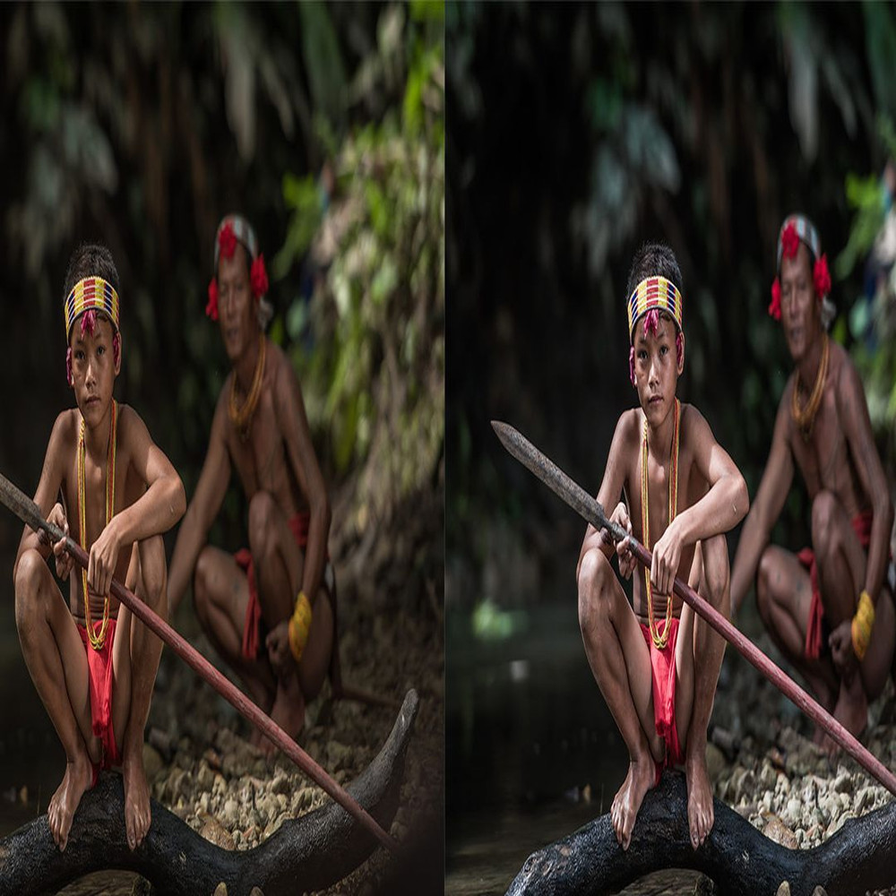 1080x1080 size Rain-Forest-Preview_15-1594x664.jpg