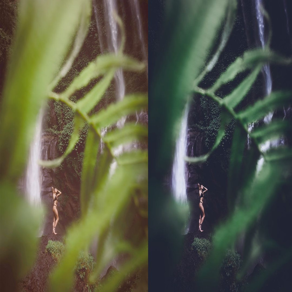 1080x1080 size Rain-Forest-Preview_9-1594x1062 (1).jpg