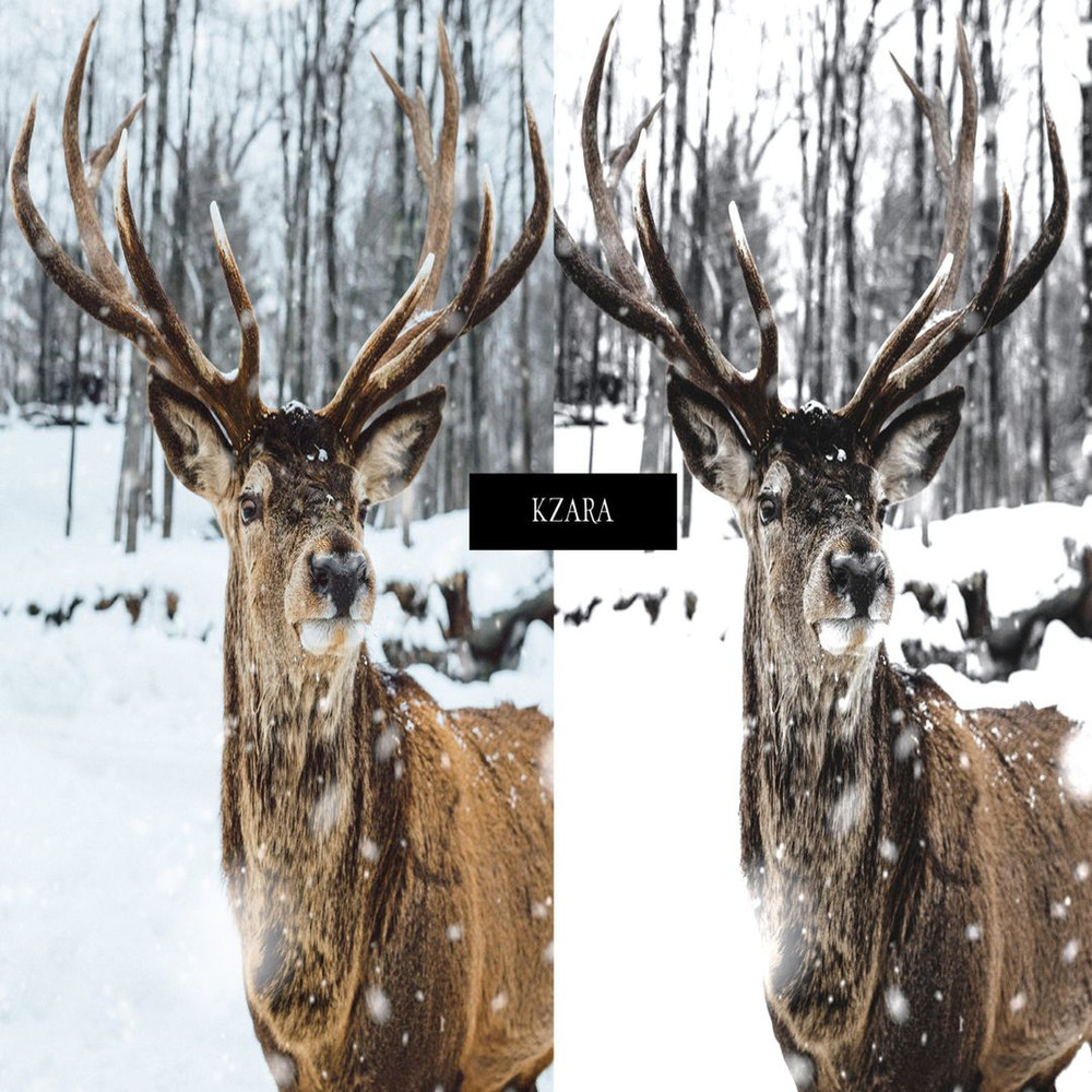 1080x1080 size Winter-Magic_Preview-3-1594x1062.jpg