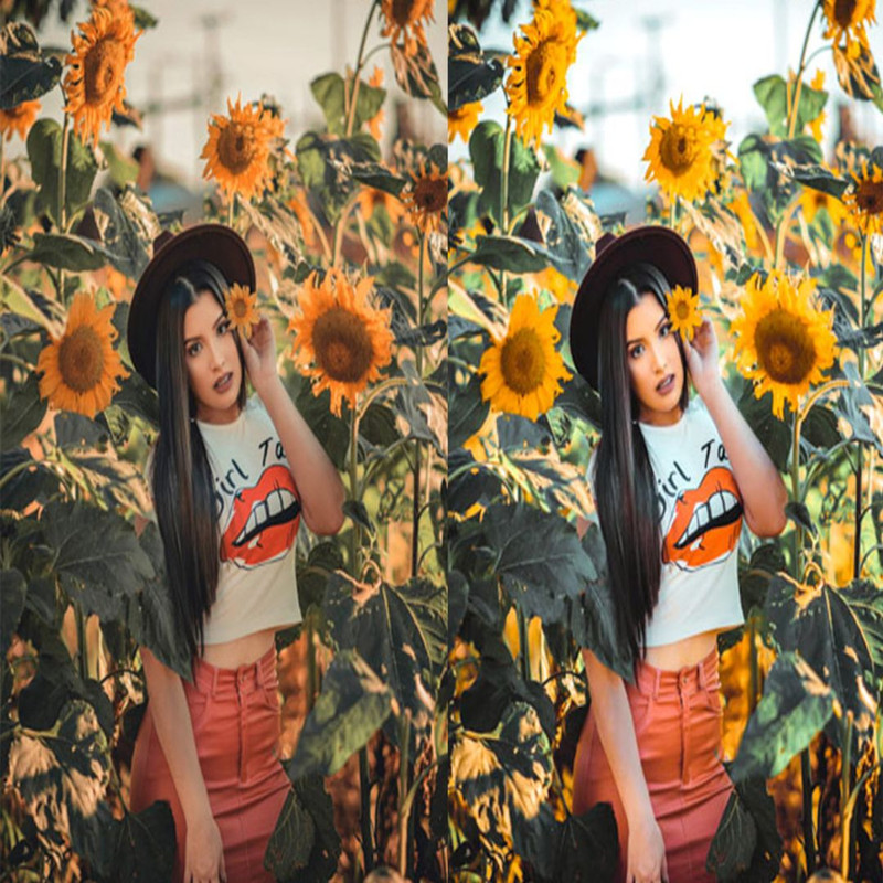 1080x1080 size 1_Sunflower-Fields-1-1594x1062.jpg