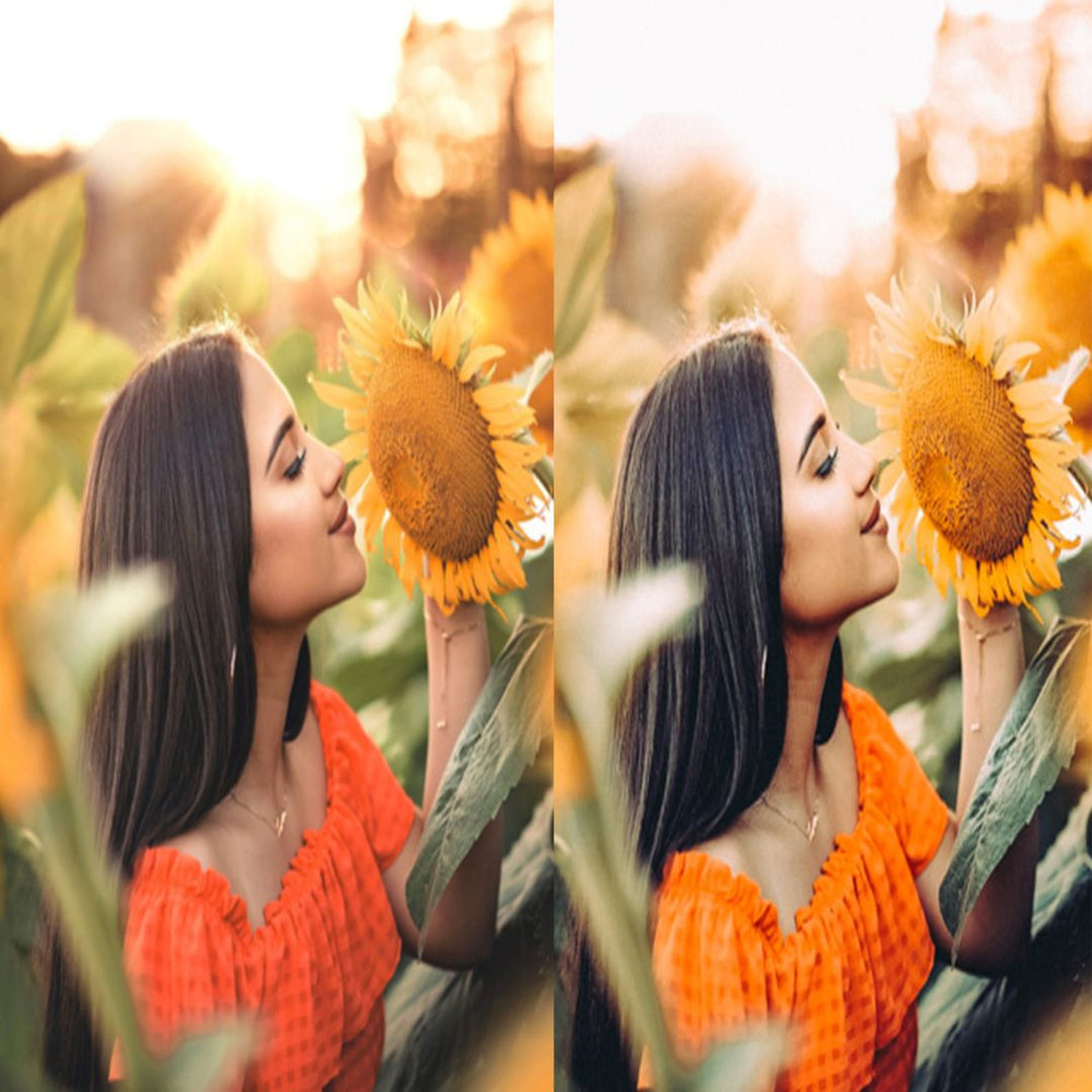 1080x1080 size 3_Sunflower-Fields-1594x1062.jpg