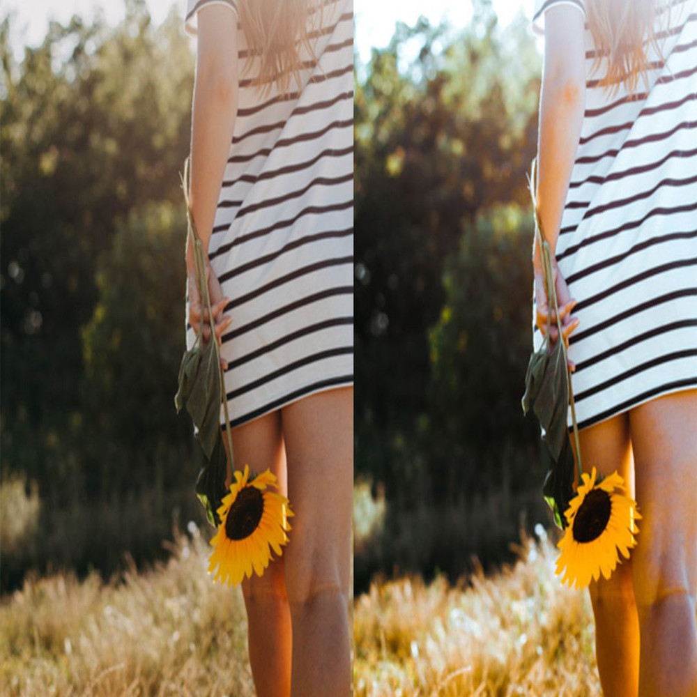 1080x1080 size 4_Sunflower-Fields-1594x1062.jpg