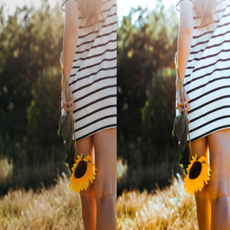 1080x1080 size 4_Sunflower-Fields-1594x1062.jpg