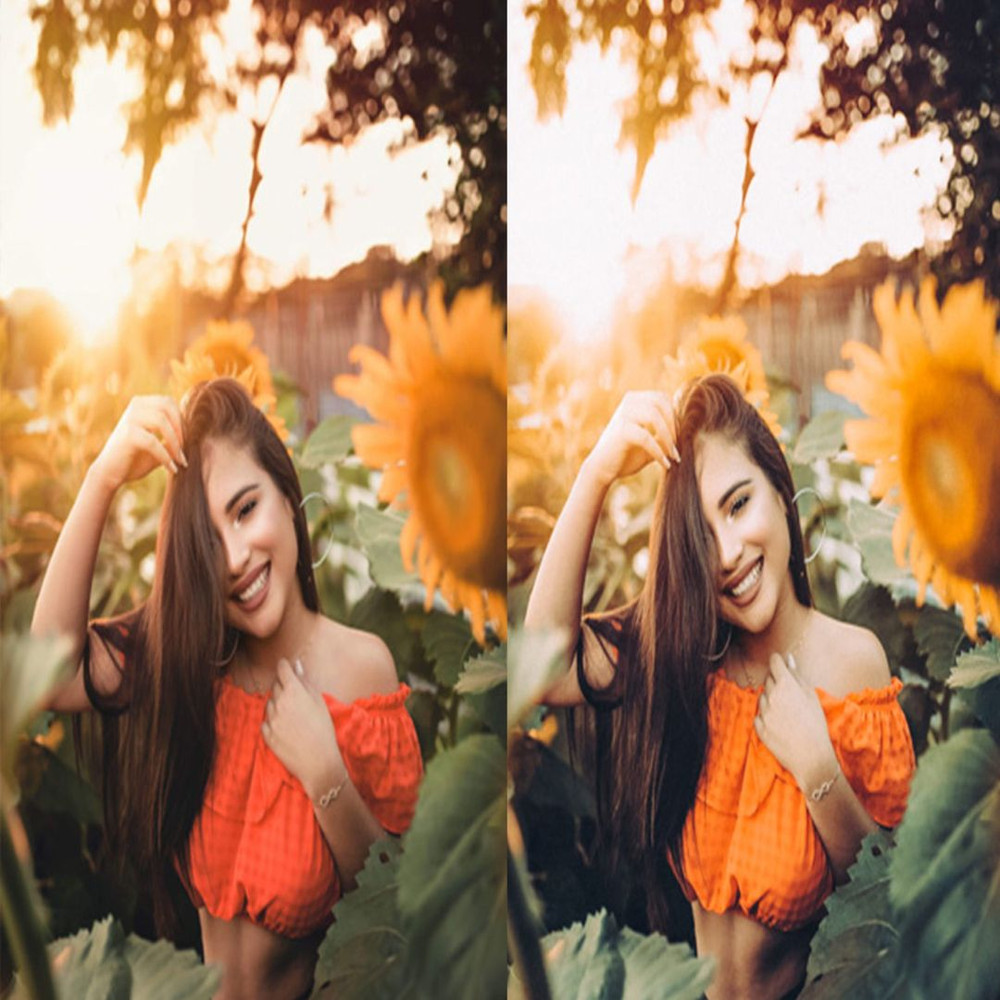 1080x1080 size 5_Sunflower-Fields-1594x1062.jpg