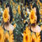 1080x1080 size 6_Sunflower-Fields-1594x664.jpg