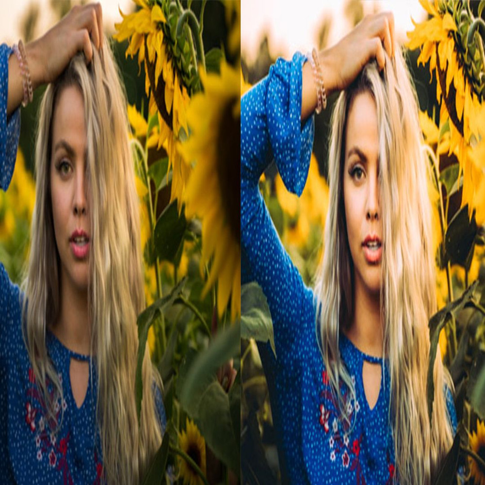 1080x1080 size 8_Sunflower-Fields-1594x664.jpg