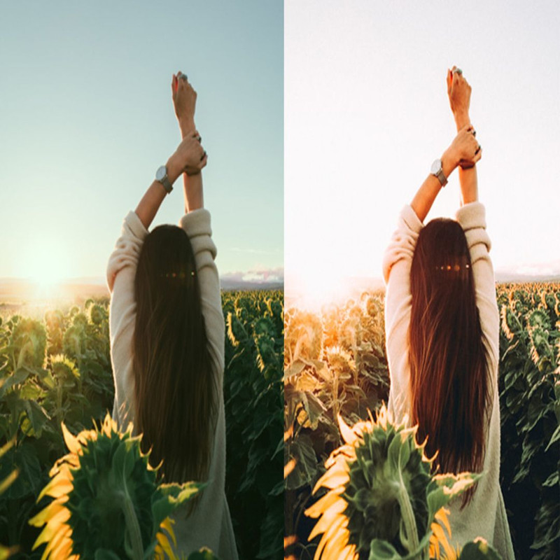 1080x1080 size 9_Sunflower-Fields-1594x1062.jpg