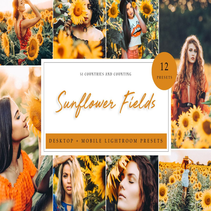 1080x1080 size Sunflower-Fields-Bundle-1594x1062.jpg