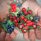 berries learning kit.jpg