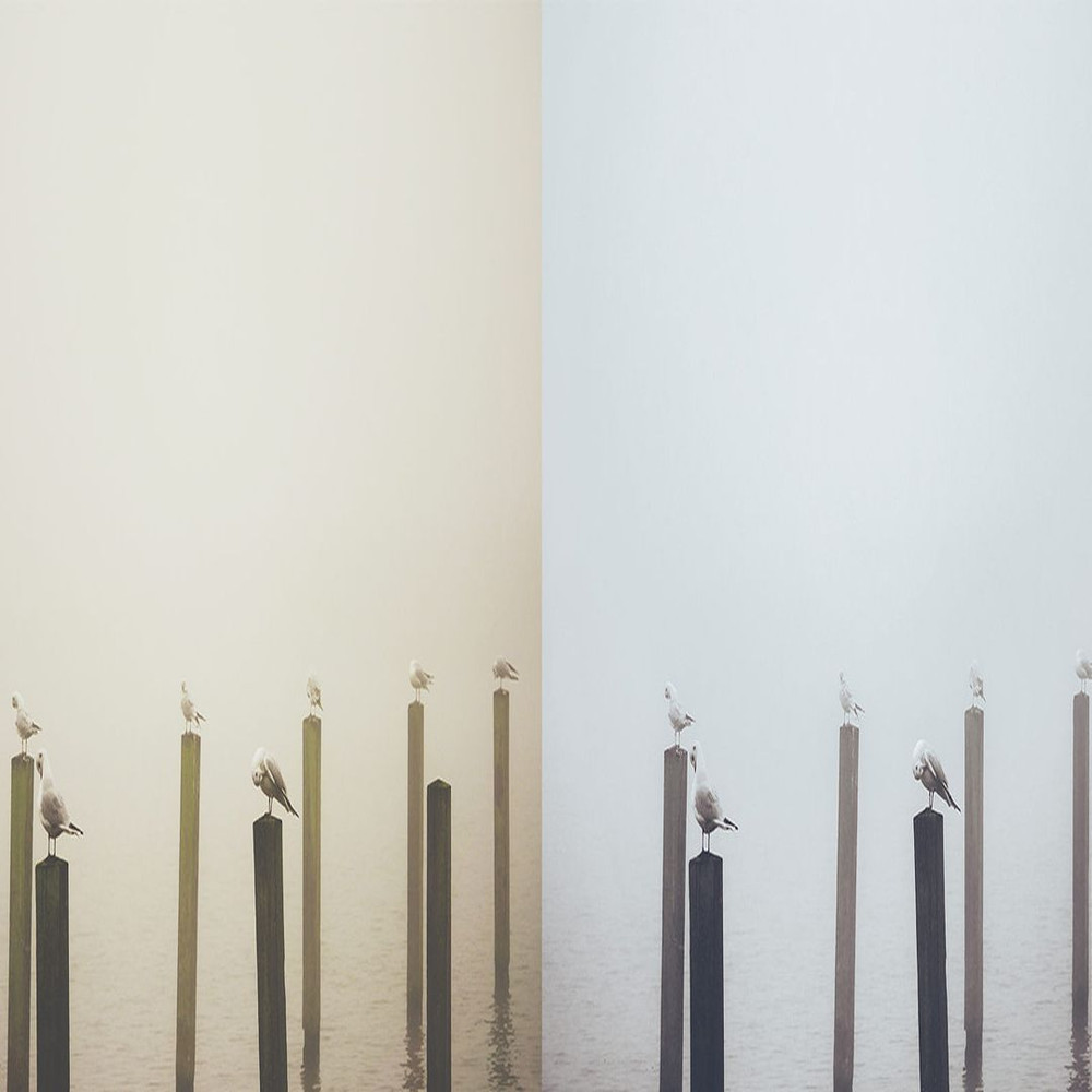 1080x1080 size 4_Minimalism-2-1594x664.jpg