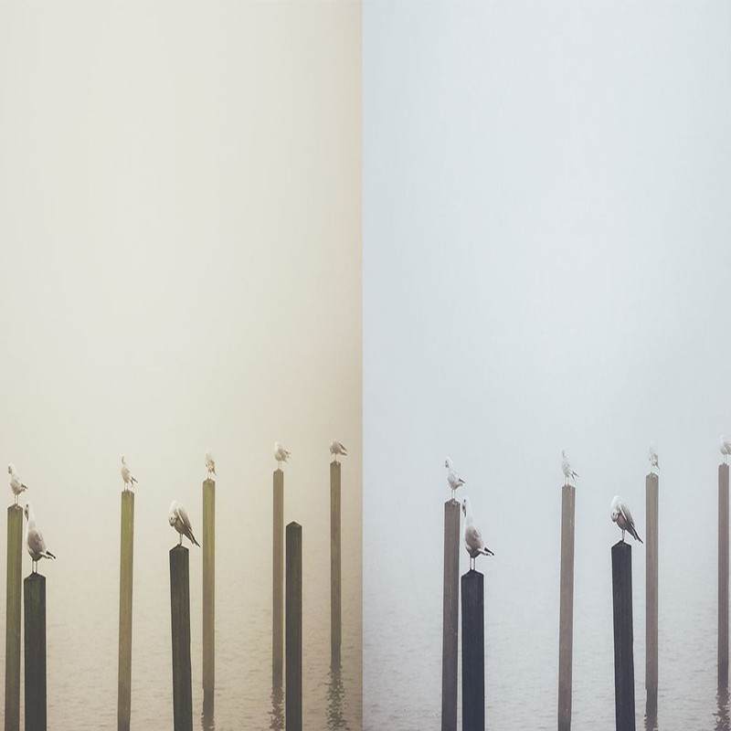 1080x1080 size 4_Minimalism-2-1594x664.jpg