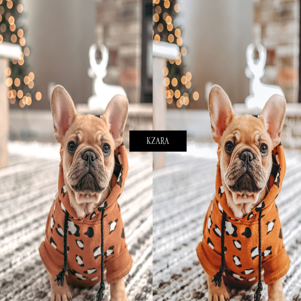 1080x1080 size 1_Cozy-Christmas_Preview-4-1594x1062.jpg