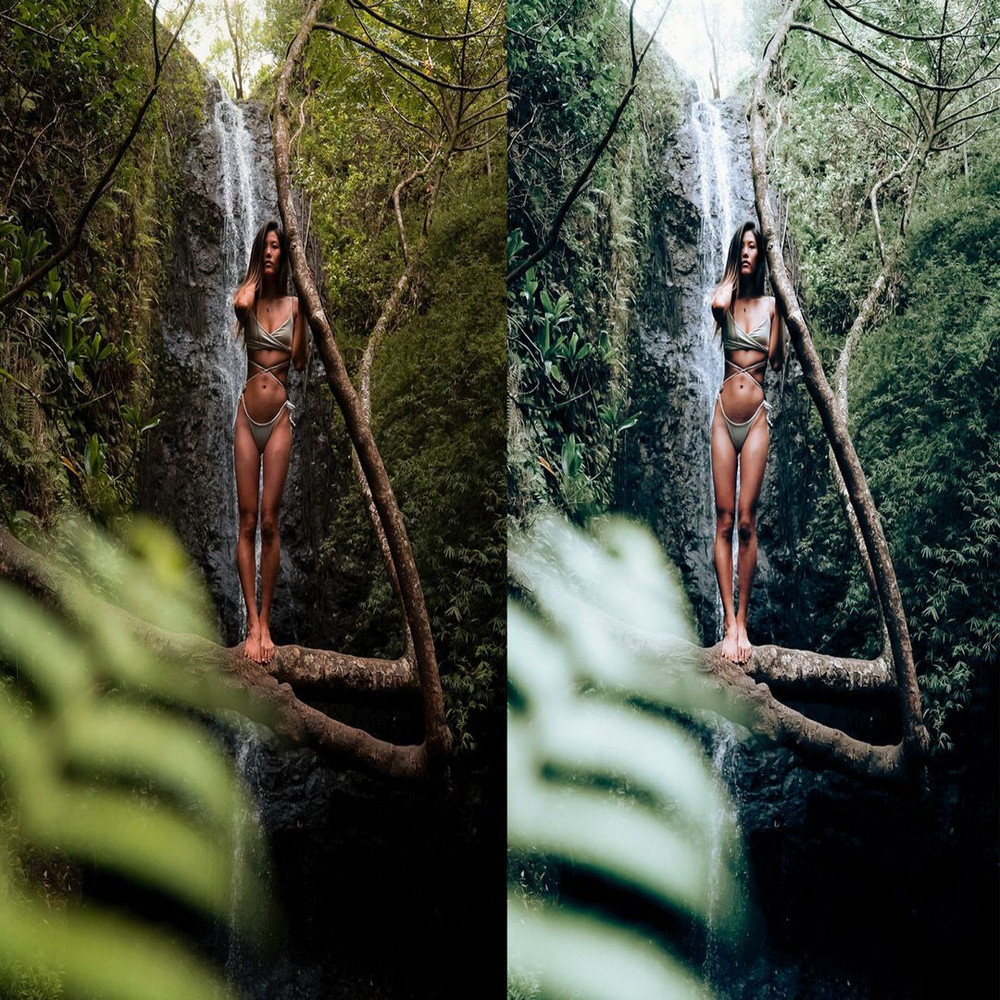 1080x1080 size 3_Evergreen-1594x1062.jpg