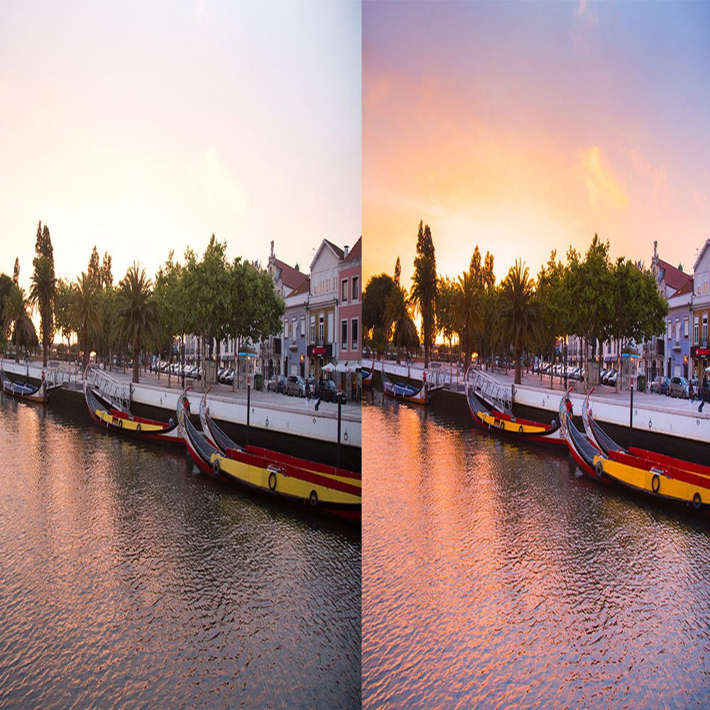 1080x1080 size Ecoria-1-1594x664.jpg