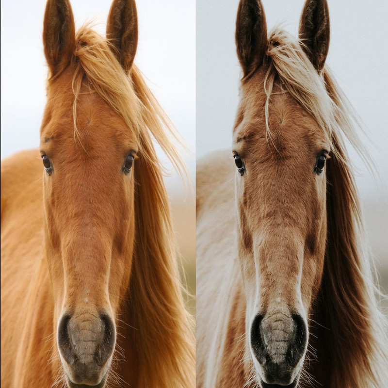 1080x1080 size 1_Ranch-1594x1062.jpg