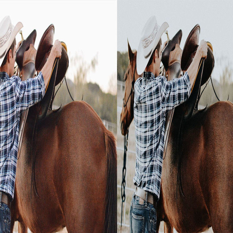 1080x1080 size 10_Ranch-1594x664.jpg