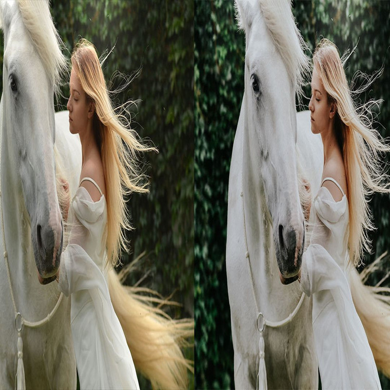 1080x1080 size 2_Ranch-1594x664.jpg