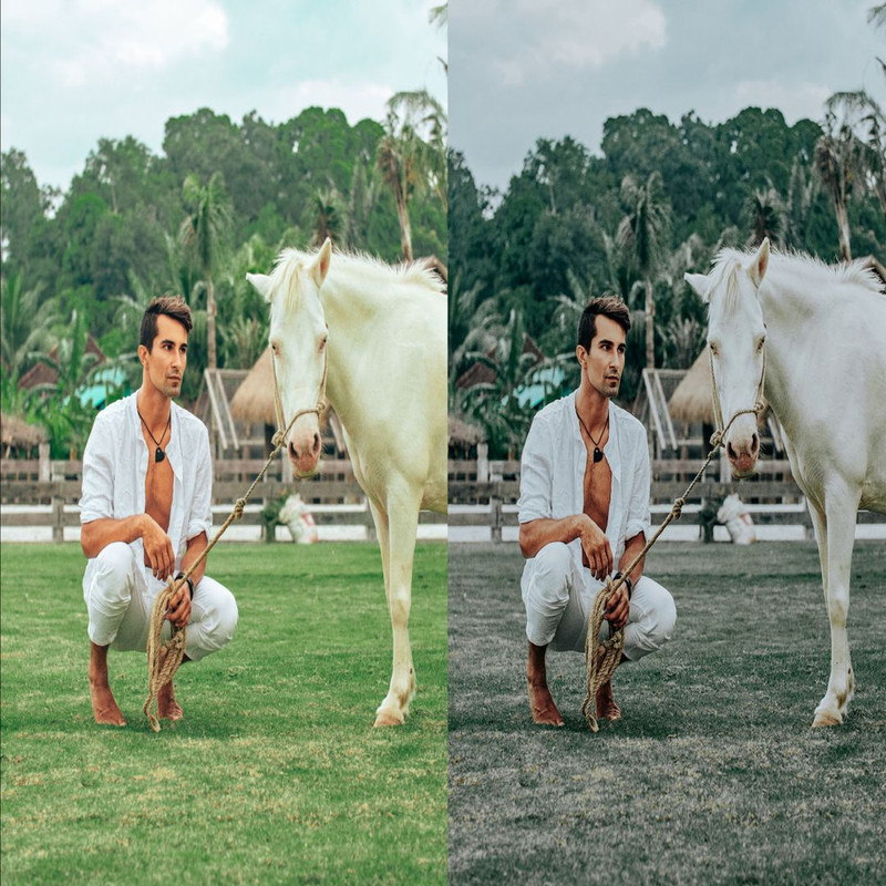 1080x1080 size 6_Ranch-1594x1062.jpg