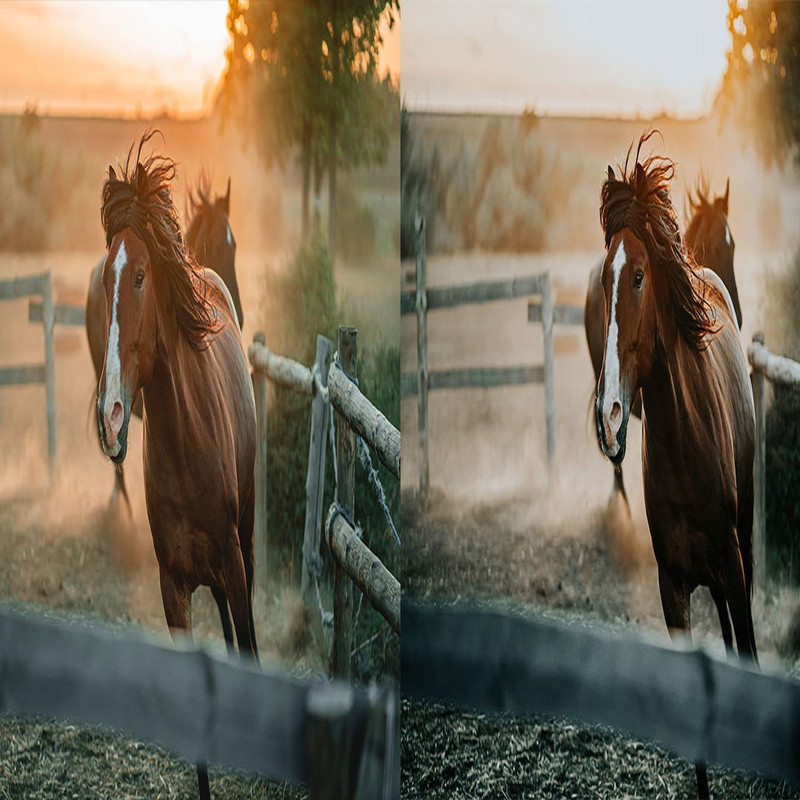 1080x1080 size 9_Ranch-1594x664.jpg