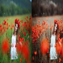 12 x lightroom presets, pro presets, portrait presets, warm presets, outdoor mobile & desktop presets