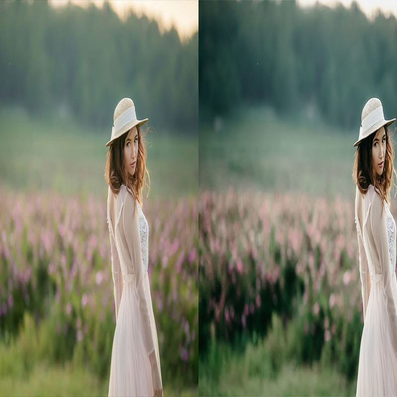 1080x1080 size 2_Pro-Presets-1594x664.jpg