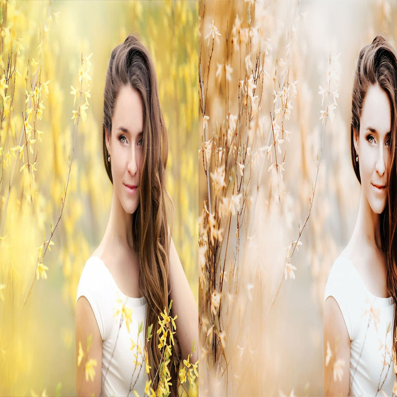 1080x1080 size 3_Pro-Presets-1594x664.jpg