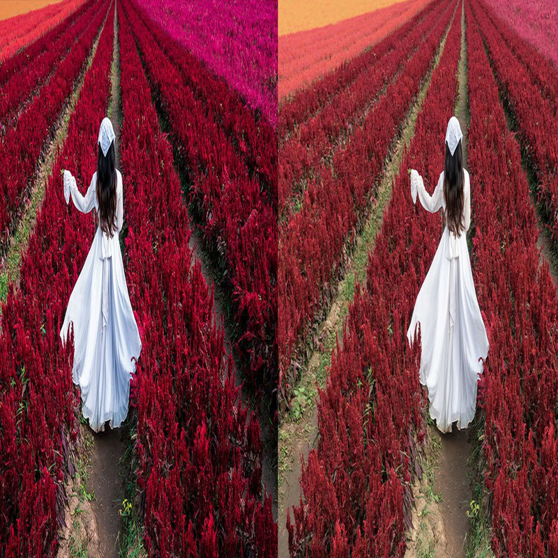 1080x1080 size 12_Pro-Presets-1594x664.jpg