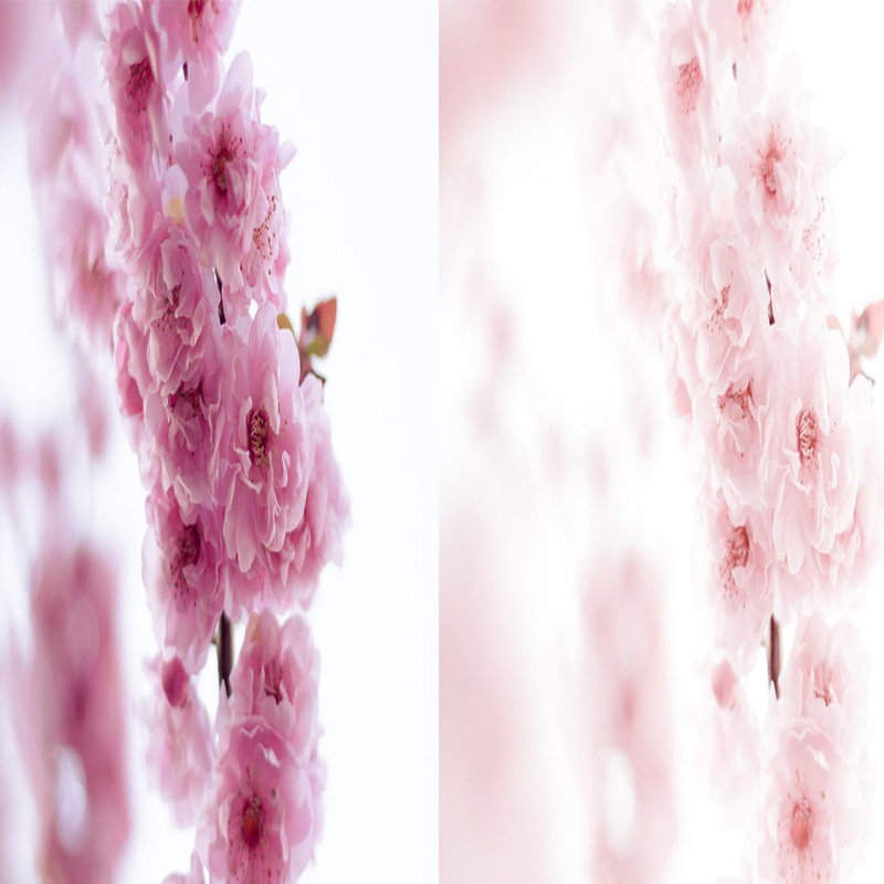 1080x1080 size 12_Blush-1594x664.jpg