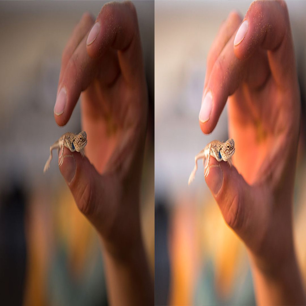 1080x1080 size Bada-Bagh-2-1594x664.jpg