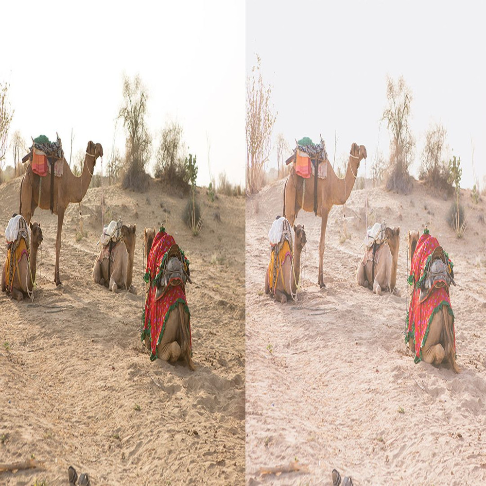 1080x1080 size Salam-Singh-1-1594x664.jpg