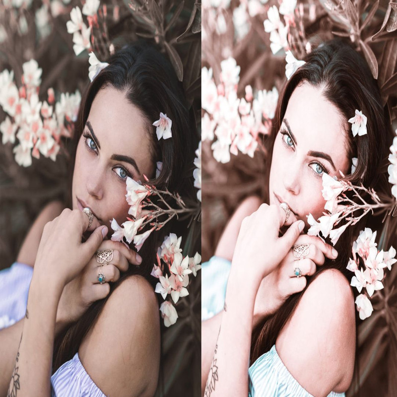 1080x1080 size 4_Cherry-Blossom-Preview-1594x1062.jpg